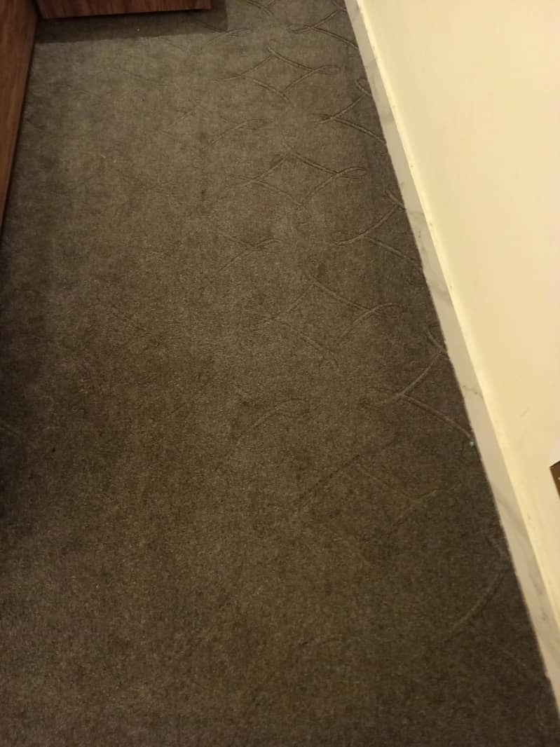 Carpet 2