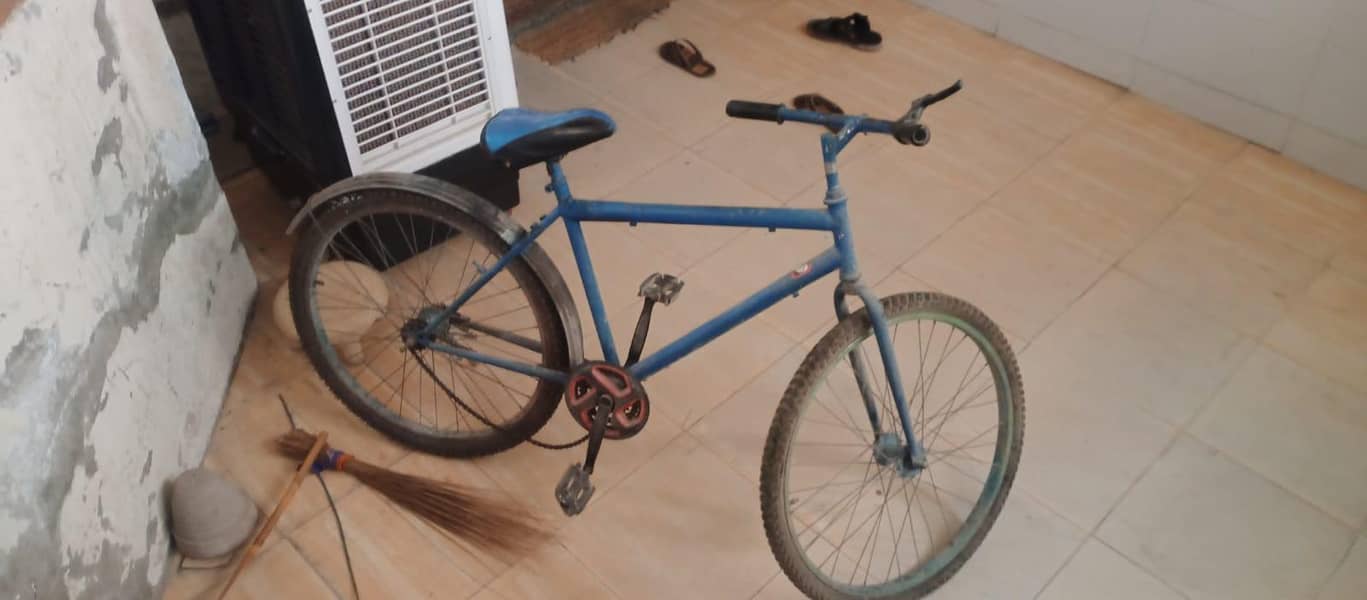 Cycle 3