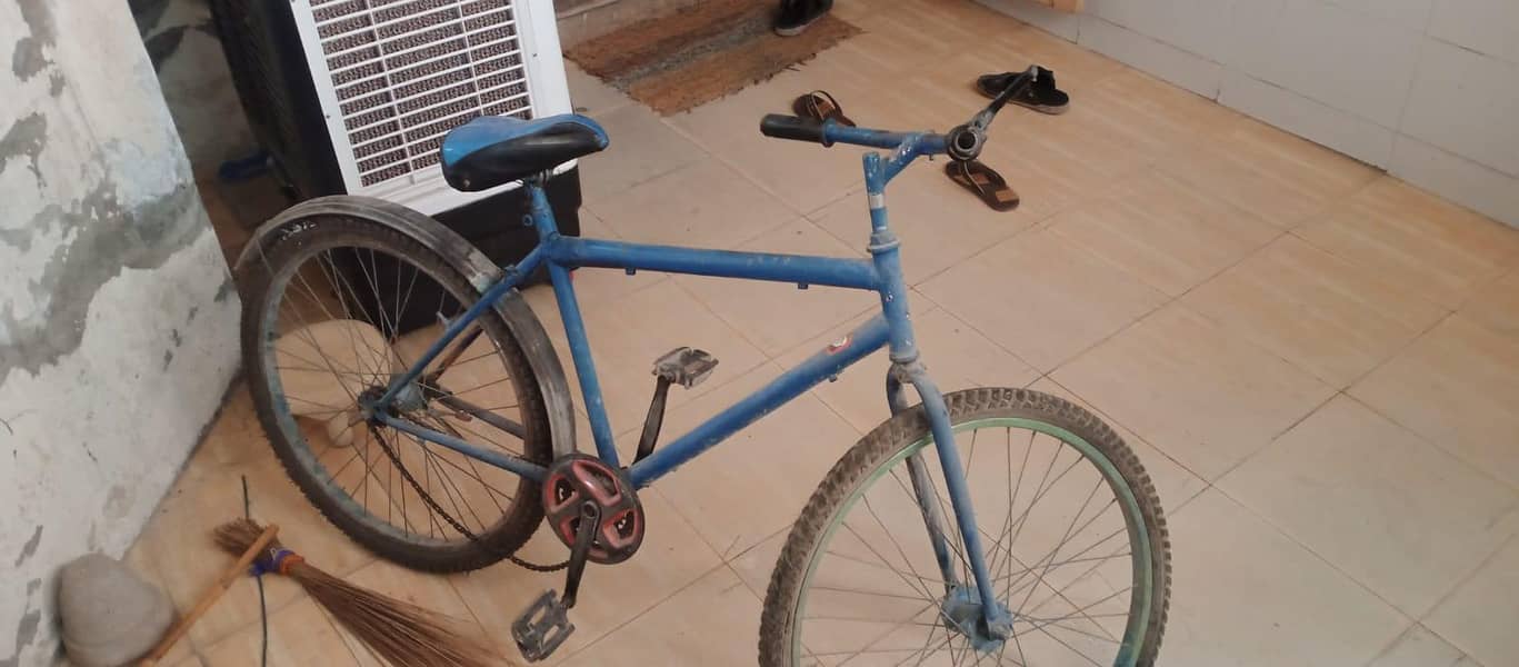 Cycle 4