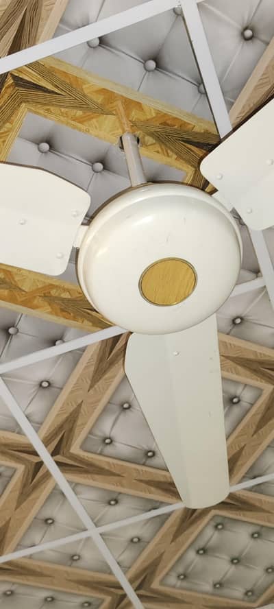 Toshiba Fan