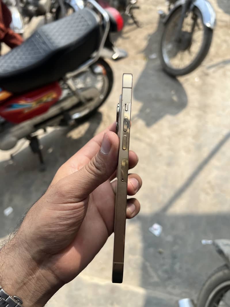 Apple iPhone 13 Pro Max 1