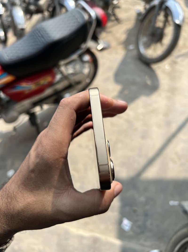 Apple iPhone 13 Pro Max 2