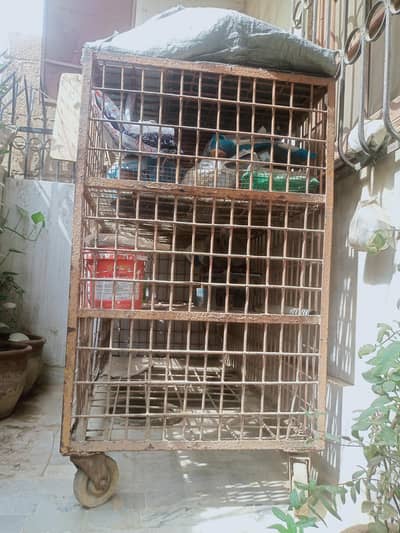 cage 4 ft height 5 ft width