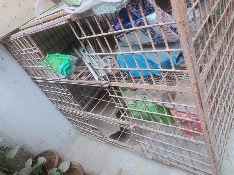 cage 4 ft height 5 ft width 3