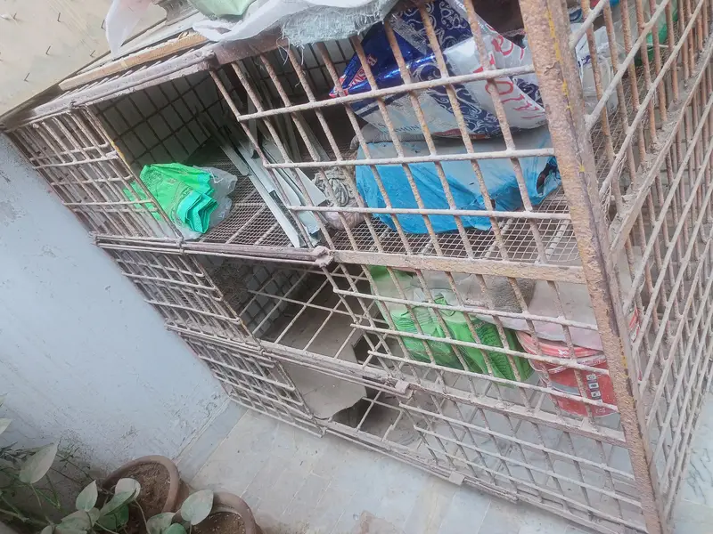 cage 4 ft height 5 ft width — photo 4