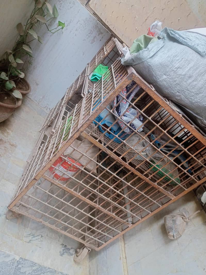 cage 4 ft height 5 ft width 5