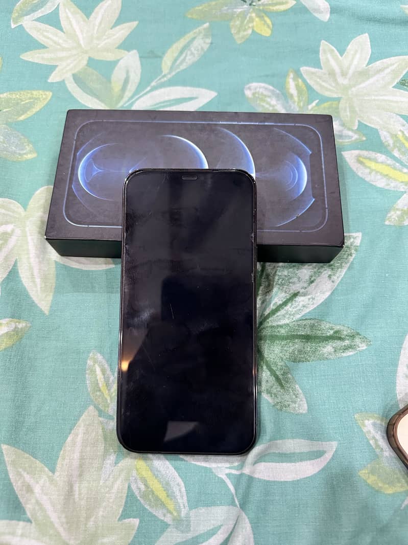 Apple iPhone 12 Pro Max 2