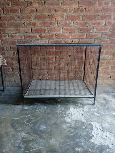 Cages for Sale