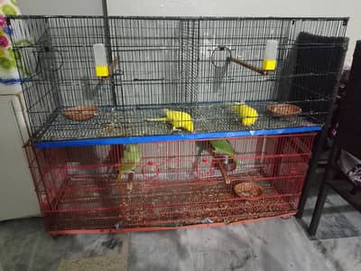 2 cage good candtion
