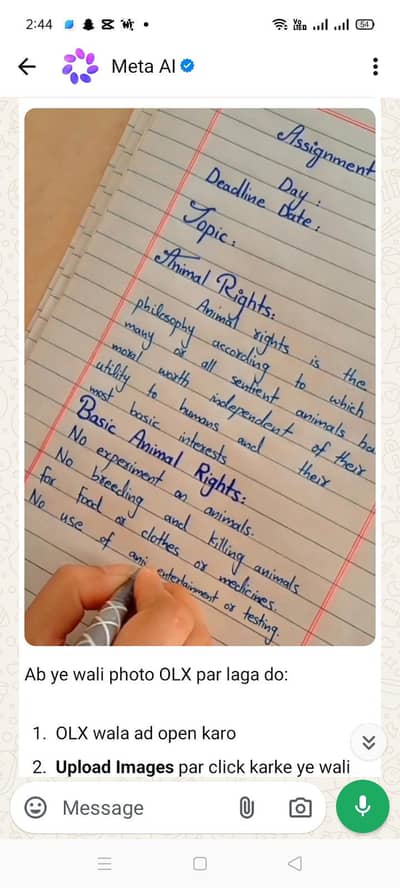 Neat handwriting Assignment work Lahore