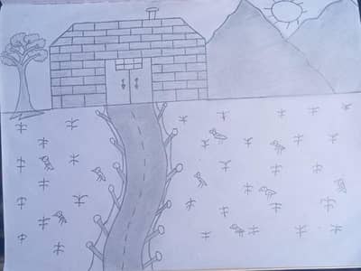 house sketch