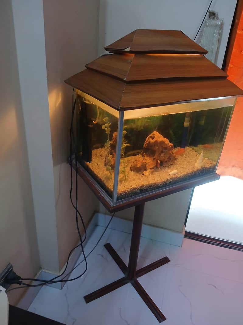 Aquarium 1