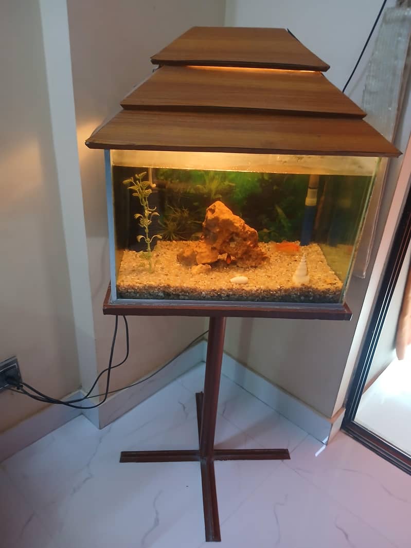 Aquarium 2