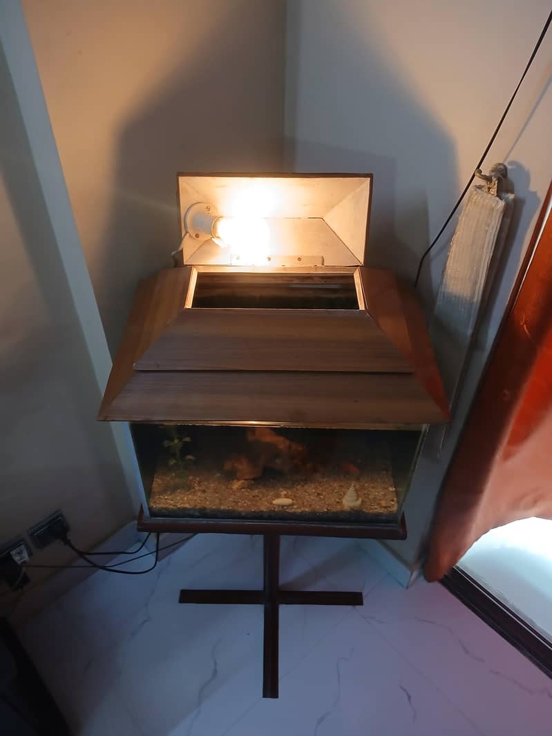 Aquarium 5