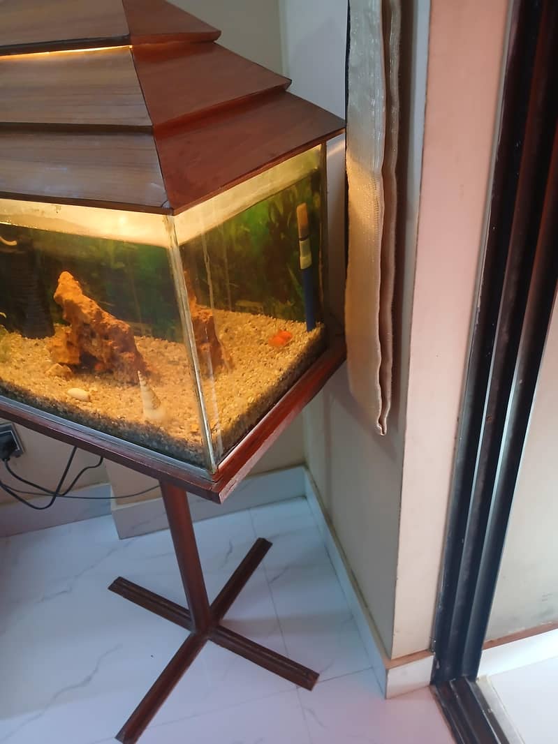 Aquarium 7