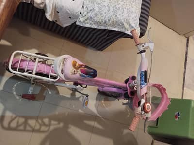 Pink Girls Kids Bicycle – Excellent Condition