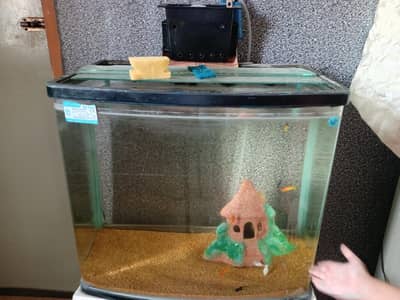 imported aquarium 65 ltr, Jo h pic m aysa hi sale krna h with fishes