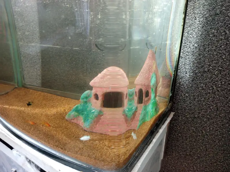 imported aquarium 65 ltr, Jo h pic m aysa hi sale krna h with fishes — photo 2