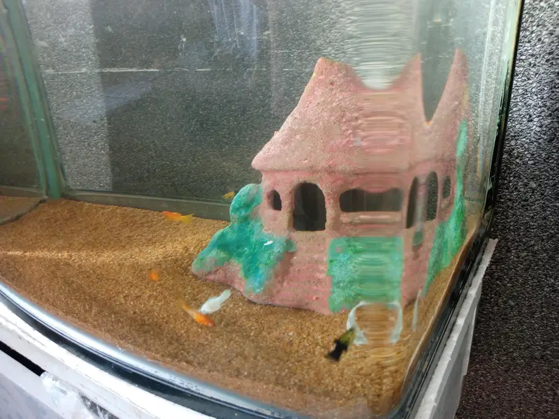 imported aquarium 65 ltr, Jo h pic m aysa hi sale krna h with fishes — photo 3