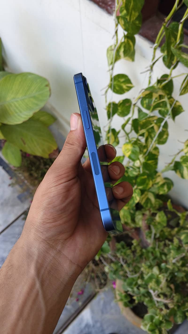 iPhone 13 0