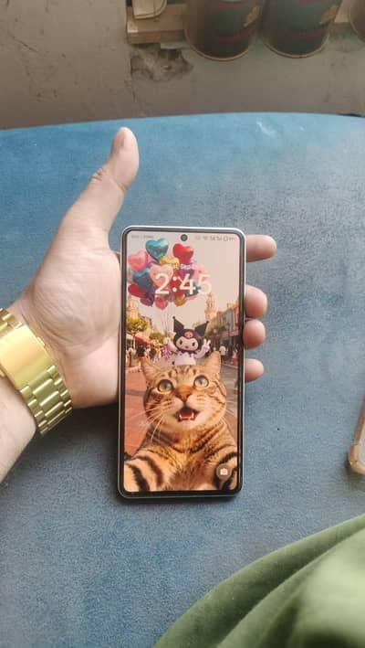 Realme GT 6 Chinese variant