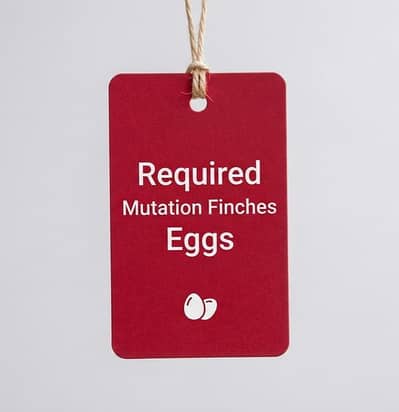 Mutation Finches Eggs