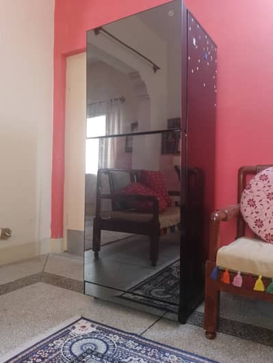 PEL Glass Door Fridge for Sale