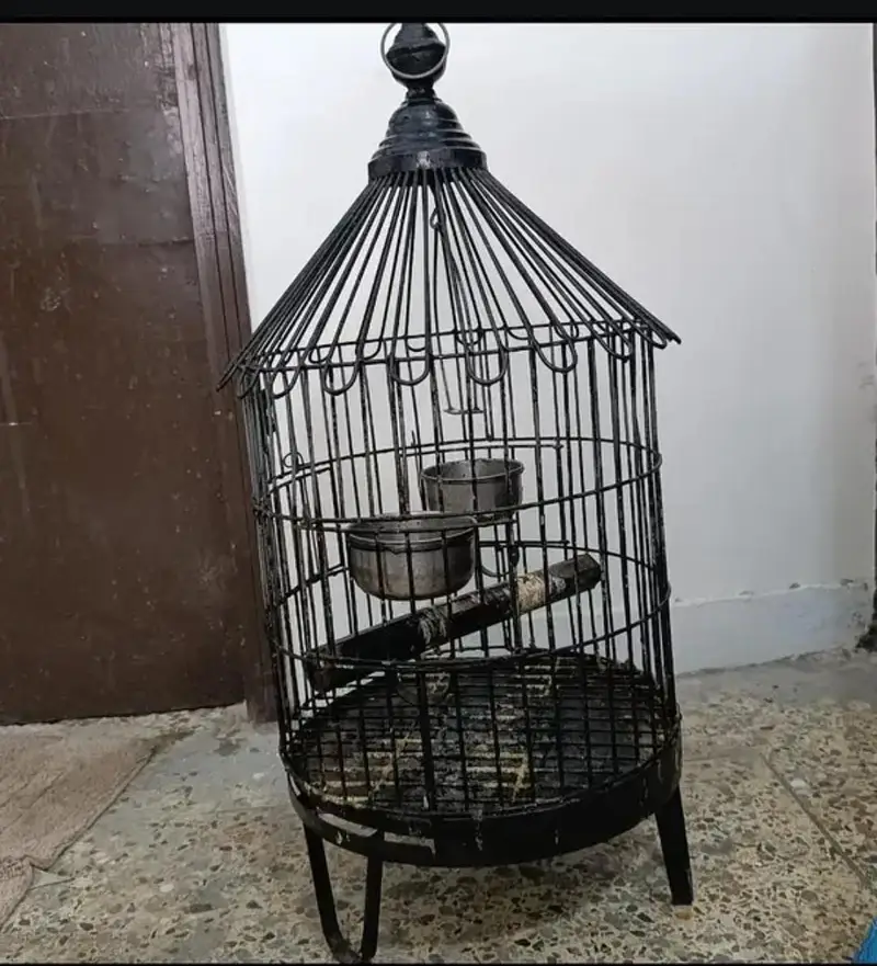 Round cage for sale — photo 2