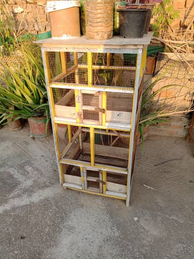 bird cage