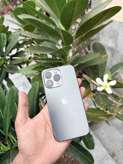 Apple iPhone 13 Pro Factory Unlock