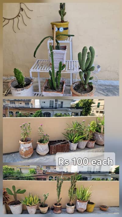 House hold items