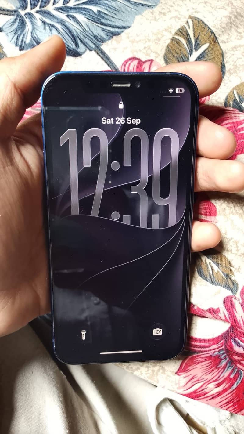 Apple iPhone 12 1