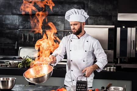 Need Job I'm Executive Cook