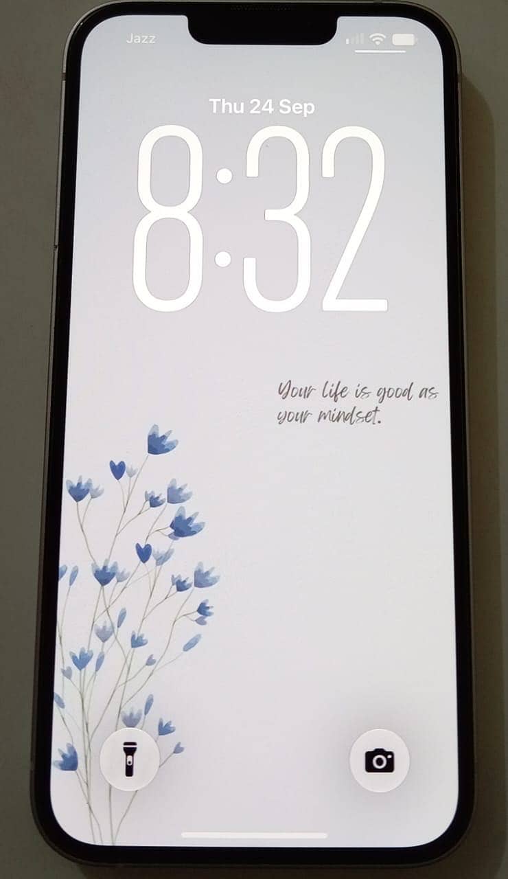 Apple iPhone 13 4