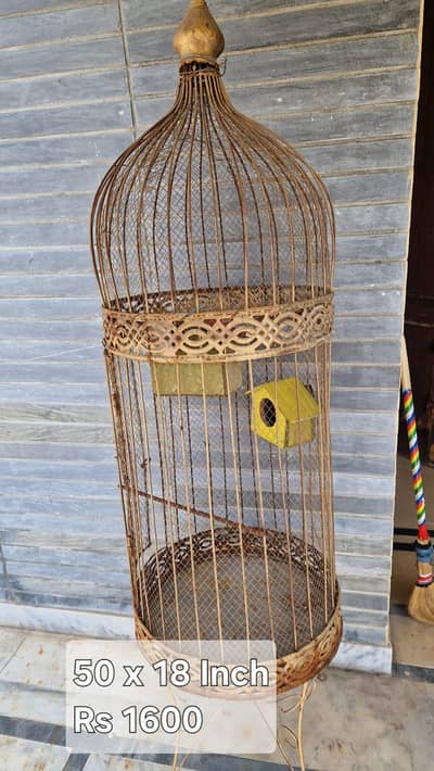 Golden Cages for Birds
