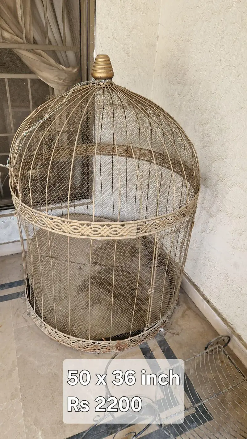 Golden Cages for Birds — photo 2