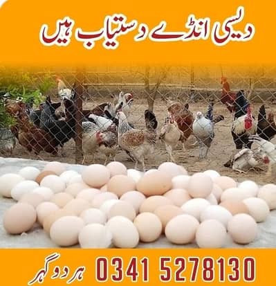 Desi Egss -Organic