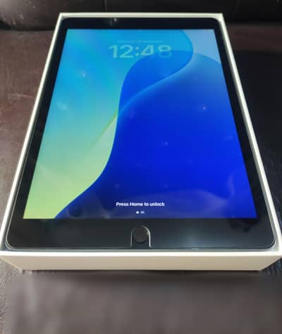 Apple Ipad 7