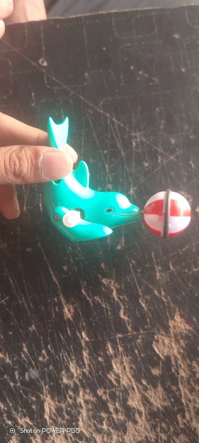 dolphin toy