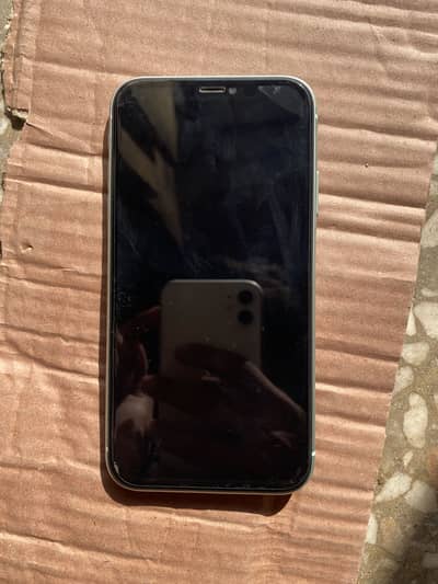 Apple iPhone 11