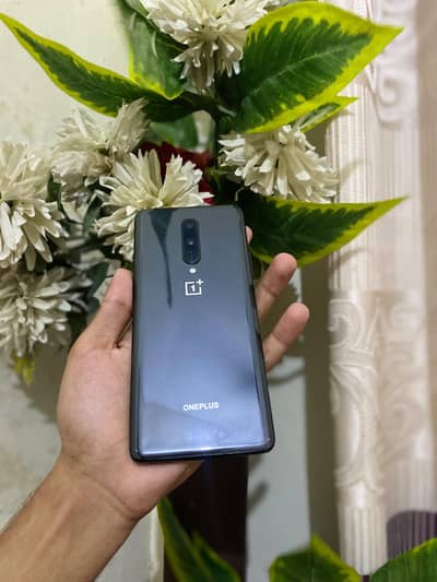 One Plus 8 12/256GB