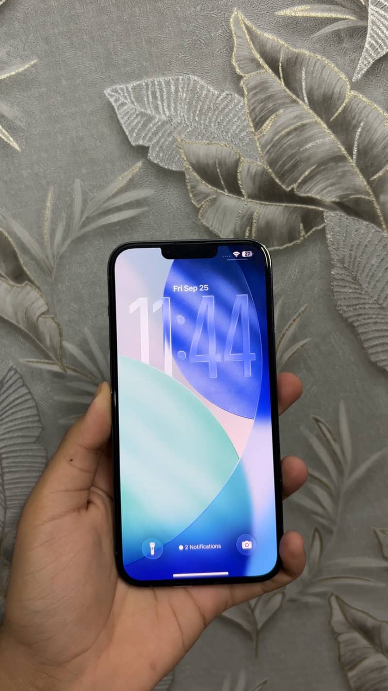 Apple iPhone 13 Pro Max 1