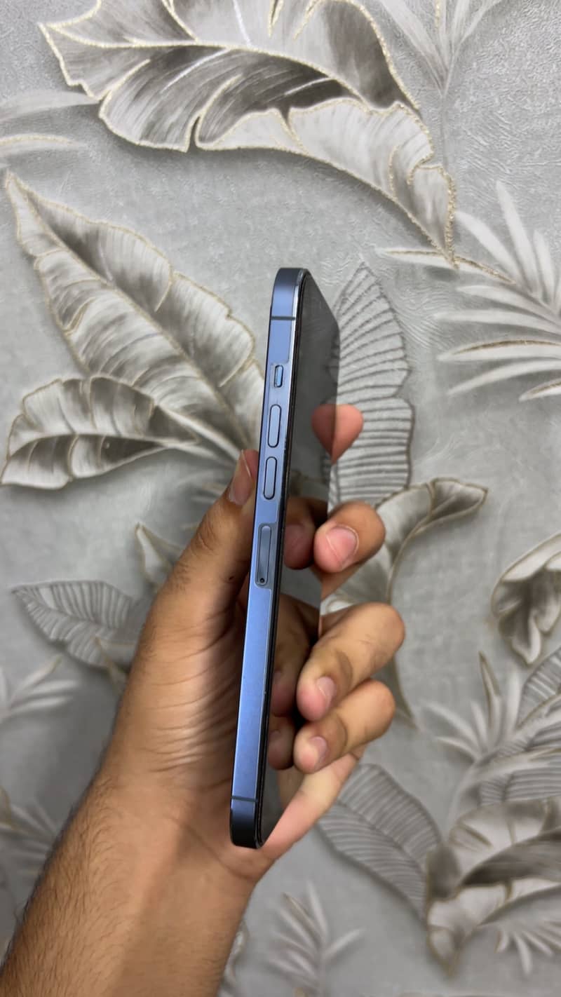 Apple iPhone 13 Pro Max 3