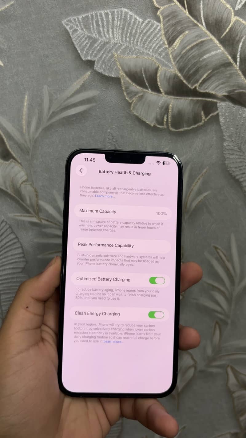 Apple iPhone 13 Pro Max 6