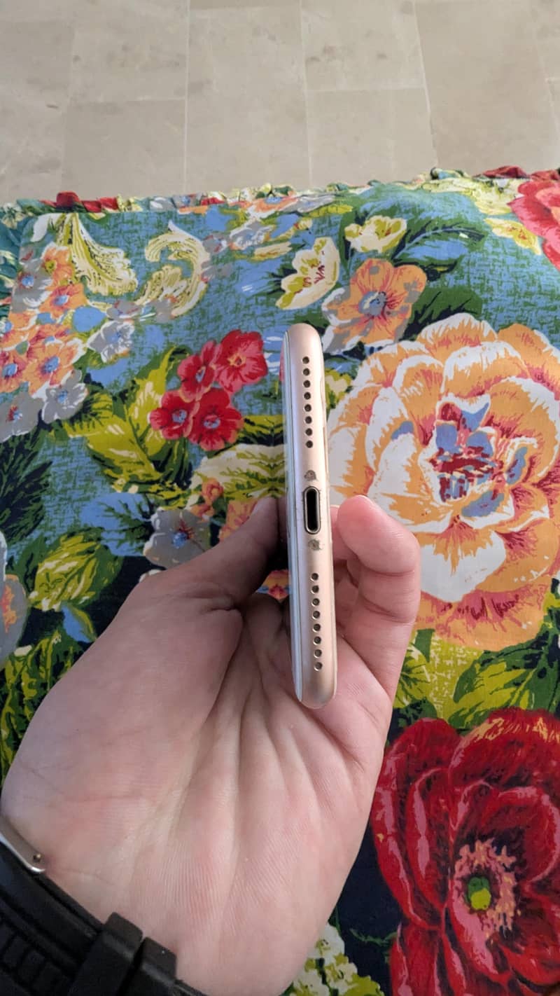 Apple iPhone 8 Plus 3