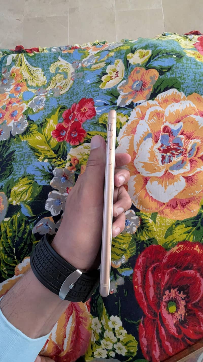 Apple iPhone 8 Plus 4