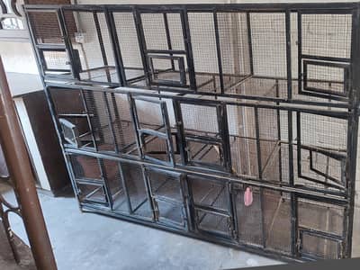 Iron Bird cage 80kg