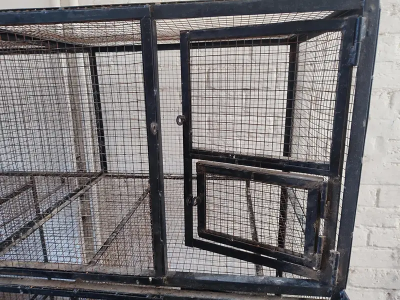 Iron Bird cage 80kg — photo 4