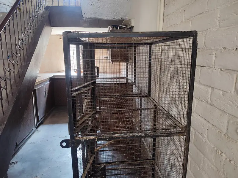 Iron Bird cage 80kg — photo 6