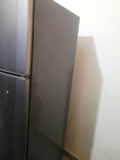 Dawlannce Fridge neat and clean